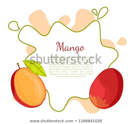 Foto d'archivio: Mango Exotic Juicy Stone Fruit Vector Poster Text