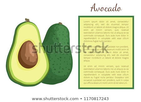 Stock fotó: Avocado Alligator Pear Exotic Juicy Fruit Vector