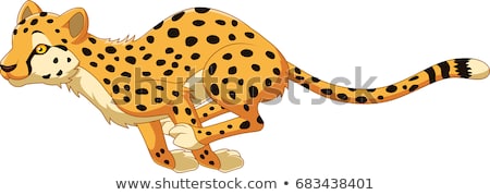 Stok fotoğraf: Cartoon Cheetah Running