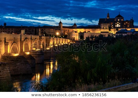 Stock photo: Mezquita At Night