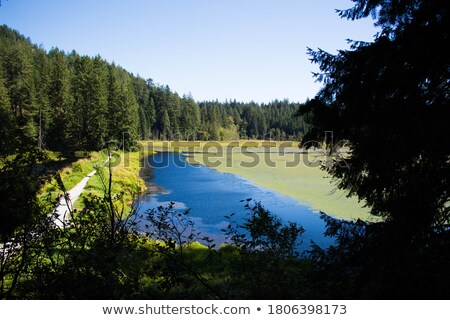 Foto stock: Minnekhada Park