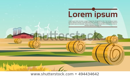 Сток-фото: Electrical Tower In Rural Landscape With Bale Of Straw