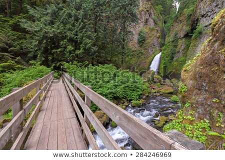 Сток-фото: Footbridge To Wahclella Falls