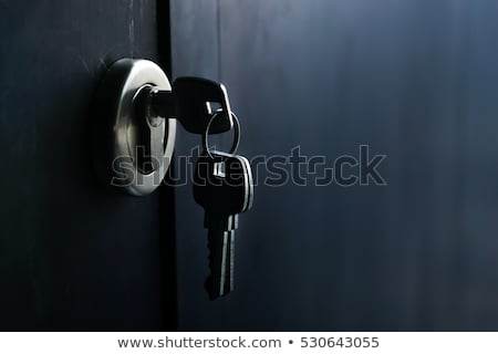 ストックフォト: Lock And Key