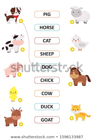 Stock fotó: Animal Matching With Pictures And Words