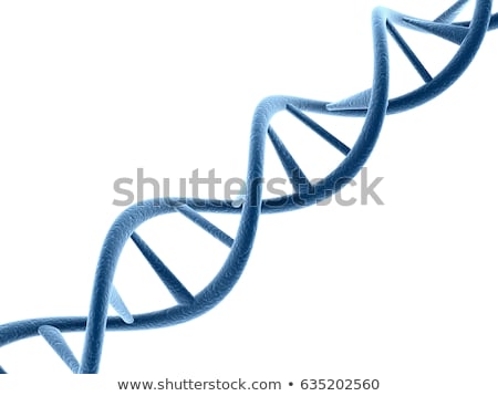 [[stock_photo]]: Structure Of The Dna Molecule