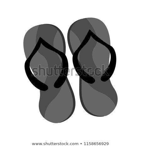 Foto d'archivio: Sandal Grey Slippers Summer Stuff Illustration Graphic Design