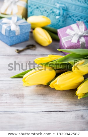 Stok fotoğraf: Yellow Tulips In Blue Metal Box