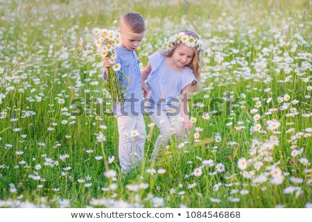 Stock fotó: Cute Child Girl At Camomile Field Daisy With Baby Brother