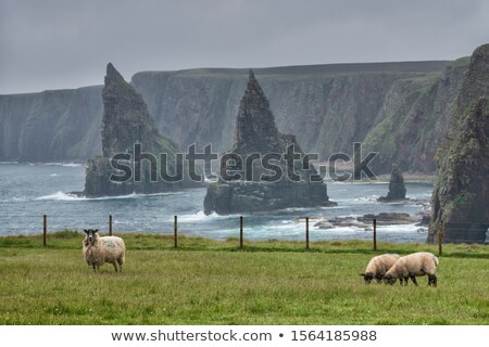 Stock fotó: Ducansby Head Coast Highlands Scotland