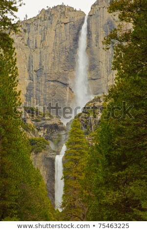 Сток-фото: Upper And Lower Yosemite Falls With A Powerful Spring Water Flow