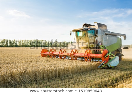 [[stock_photo]]: Combine Harvester Machine Harvesting Ripe Wheat Crops