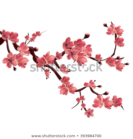 Сток-фото: Branches With Flowers
