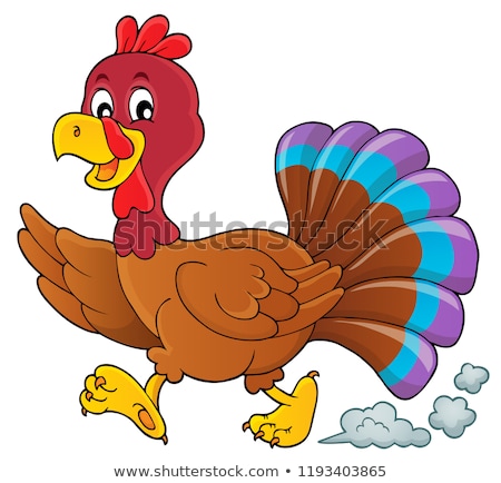 Stockfoto: Running Turkey Bird Theme Image 1