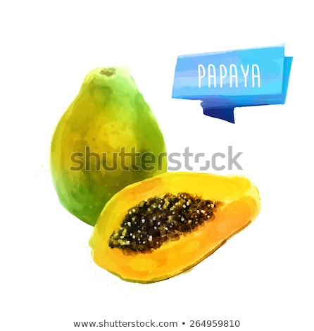 Stock fotó: Papaya On White Background Watercolor Illustration
