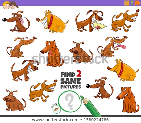 Stok fotoğraf: Find Two Same Farm Animals Game For Children