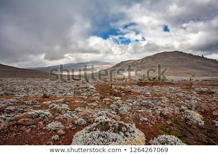 Stok fotoğraf: Ethiopian Bale Mountains Landscape Ethiopia Africa