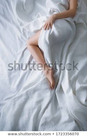 Stock foto: Female Legs