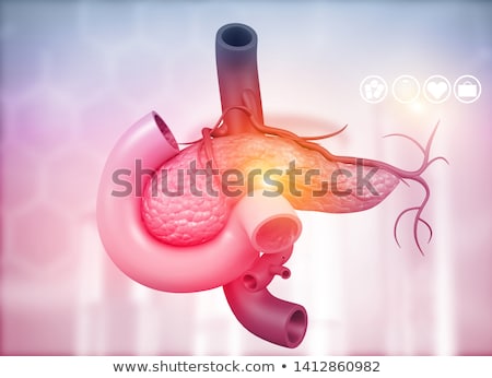 Stok fotoğraf: 3d Rendered Illustration Of The Male Pancreas - Cancer