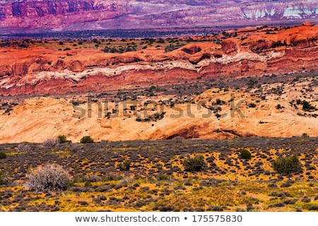 Foto stock: Yellow Grass Lands Moab Fault Arches National Park Moab Utah