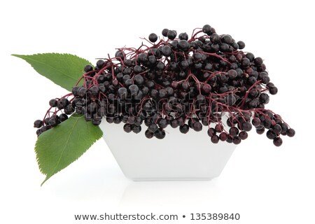 Foto d'archivio: Elder Berries In A Bowl