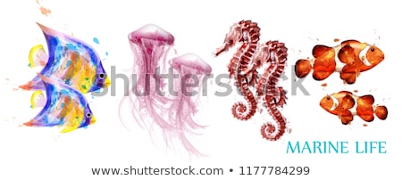 [[stock_photo]]: Underwater Banners With Seahorse And Red Tropical Fish Vector Illustration