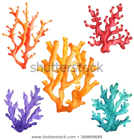 Foto stock: Sea Handdrawn Icons On Watercolor Background