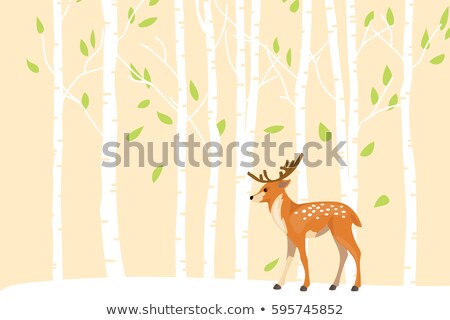 Stock fotó: Fox And Raccoon On White Background