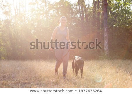 Foto stock: Woman Running And Jogging With Dog In Green Summer Park And Wood