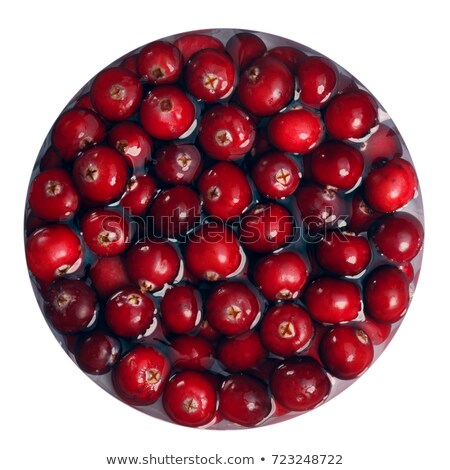 Stock foto: Floating Immersed Cranberries Top View Paths