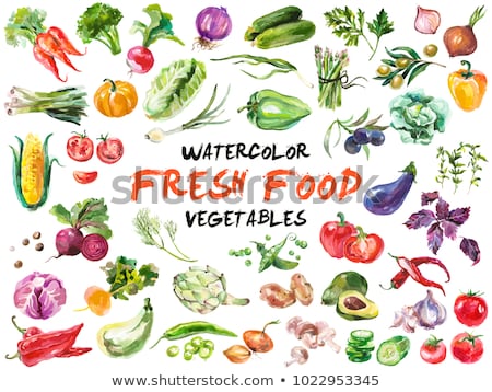 Zdjęcia stock: Avocado And Tomato On White Background Watercolor Illustration