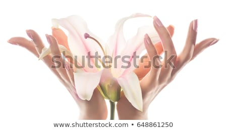 Stok fotoğraf: Closeup Image Of Beautiful Womans Hands With Light Pink Manicure On The Nails Skin Care For Hands
