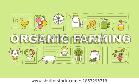 Stock fotó: Sustainable Agriculture Concept Banner Header