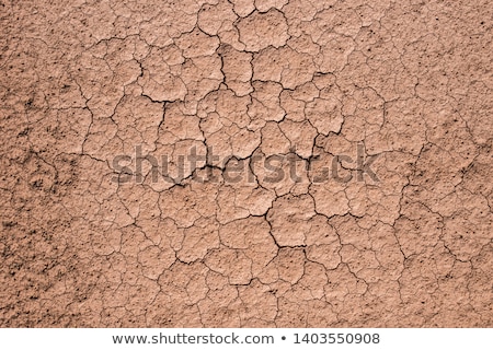 Zdjęcia stock: Dry Land