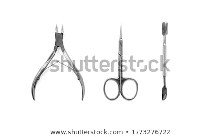 Stok fotoğraf: Different Scissors Isolated