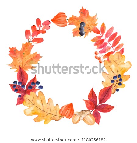 Foto d'archivio: Wreath With Mountain Ash Berries