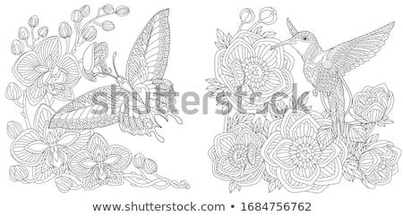 [[stock_photo]]: Bird Coloring Page
