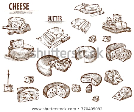 Stockfoto: Digital Vector Detailed Line Art Cheese Slices