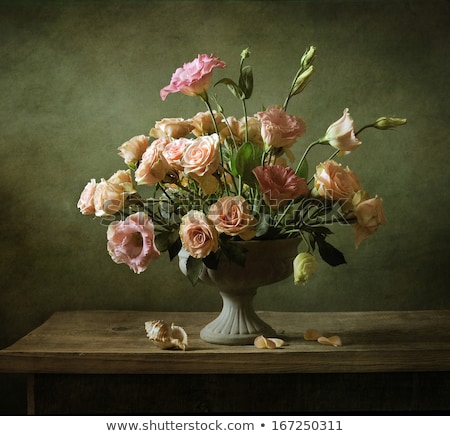 Сток-фото: Rose Stilllife