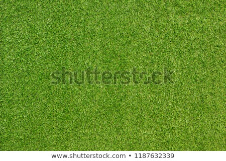 ストックフォト: Close Up View Of Artificial Green Grass Background