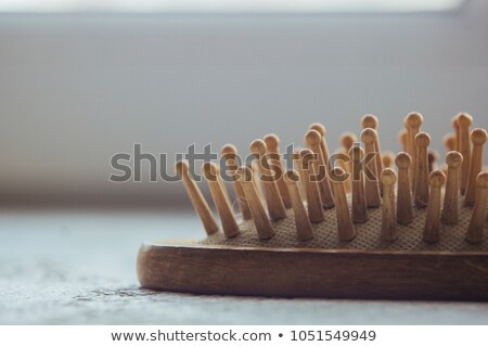 Foto d'archivio: Wooden Hairbrush