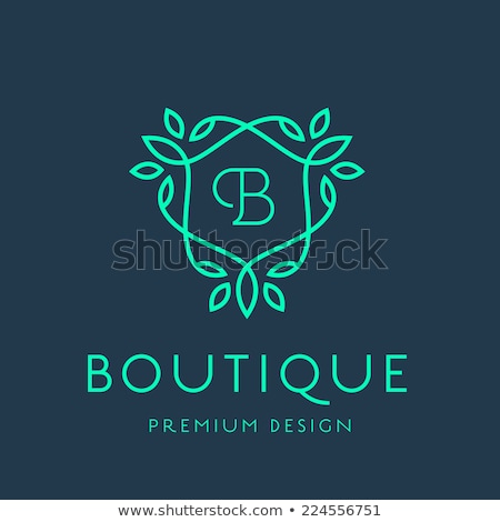 Stock fotó: Simple And Graceful Monogram Design Template Lineart Logo