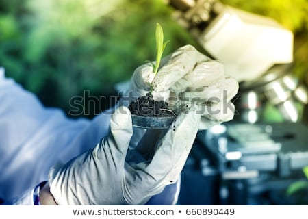 Stock foto: Close Up Of Scientist Hands With Plant And Soil