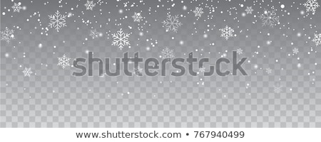 Stock photo: Snow Flake Texture