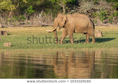 Foto stock: Traveler Group That Are Large Family Enjoy On The Boat