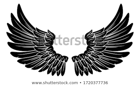 Foto stock: Wings Angel Or Eagle Pair