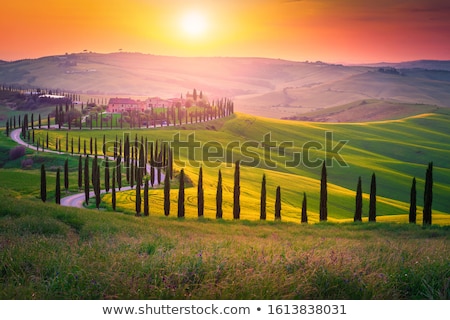 Foto stock: Road In Tuscany
