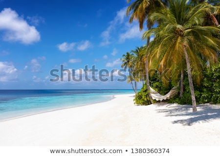 Сток-фото: Beautiful Beach With Fine White Sand And Trees And Blue Sea With