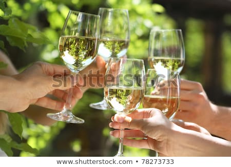 Foto stock: Celebration People Holding The Glasses Of White Wine Making A T