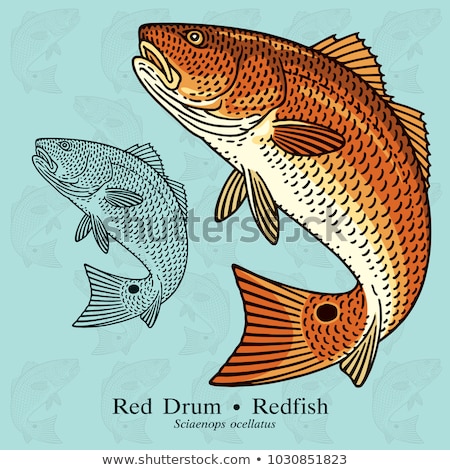 Foto stock: Red Fishes